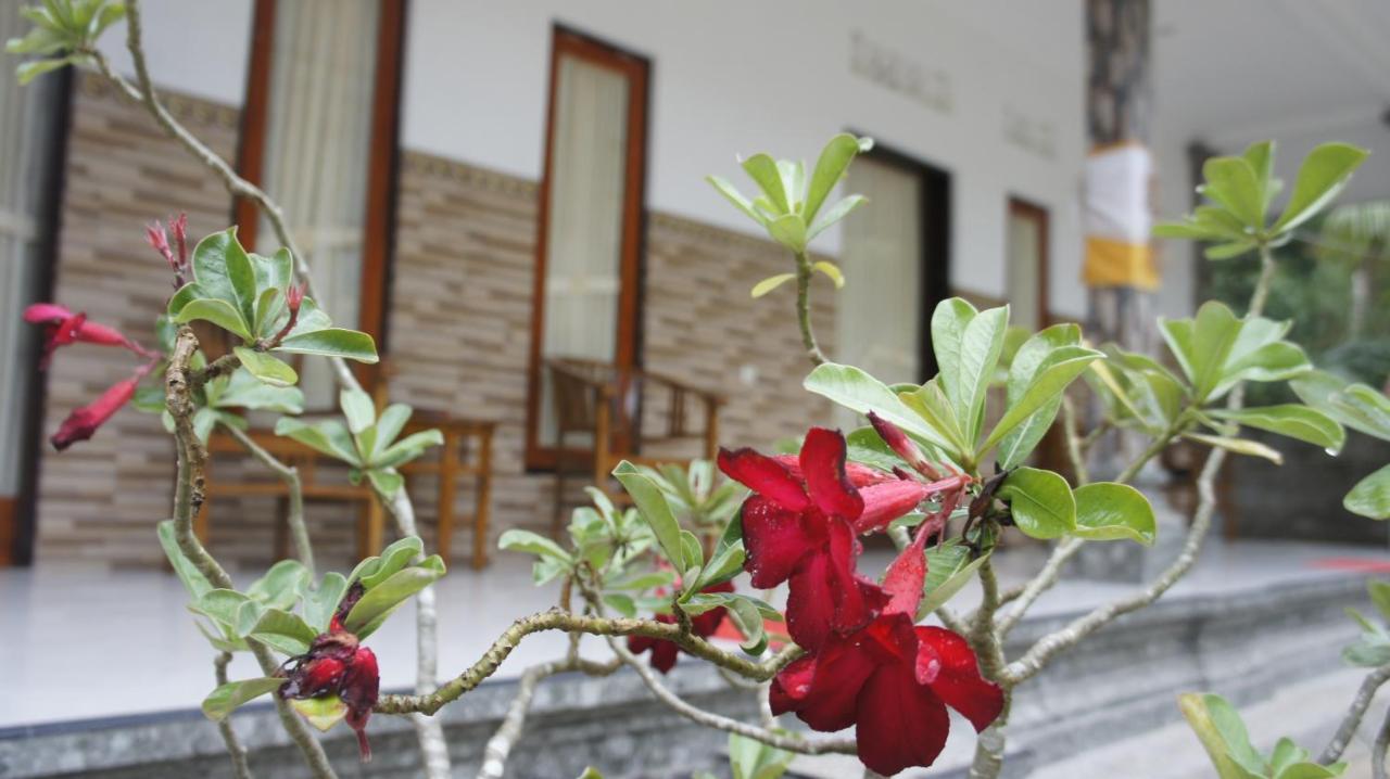 Klotok Home Stay Nusa Batununggul ภายนอก รูปภาพ